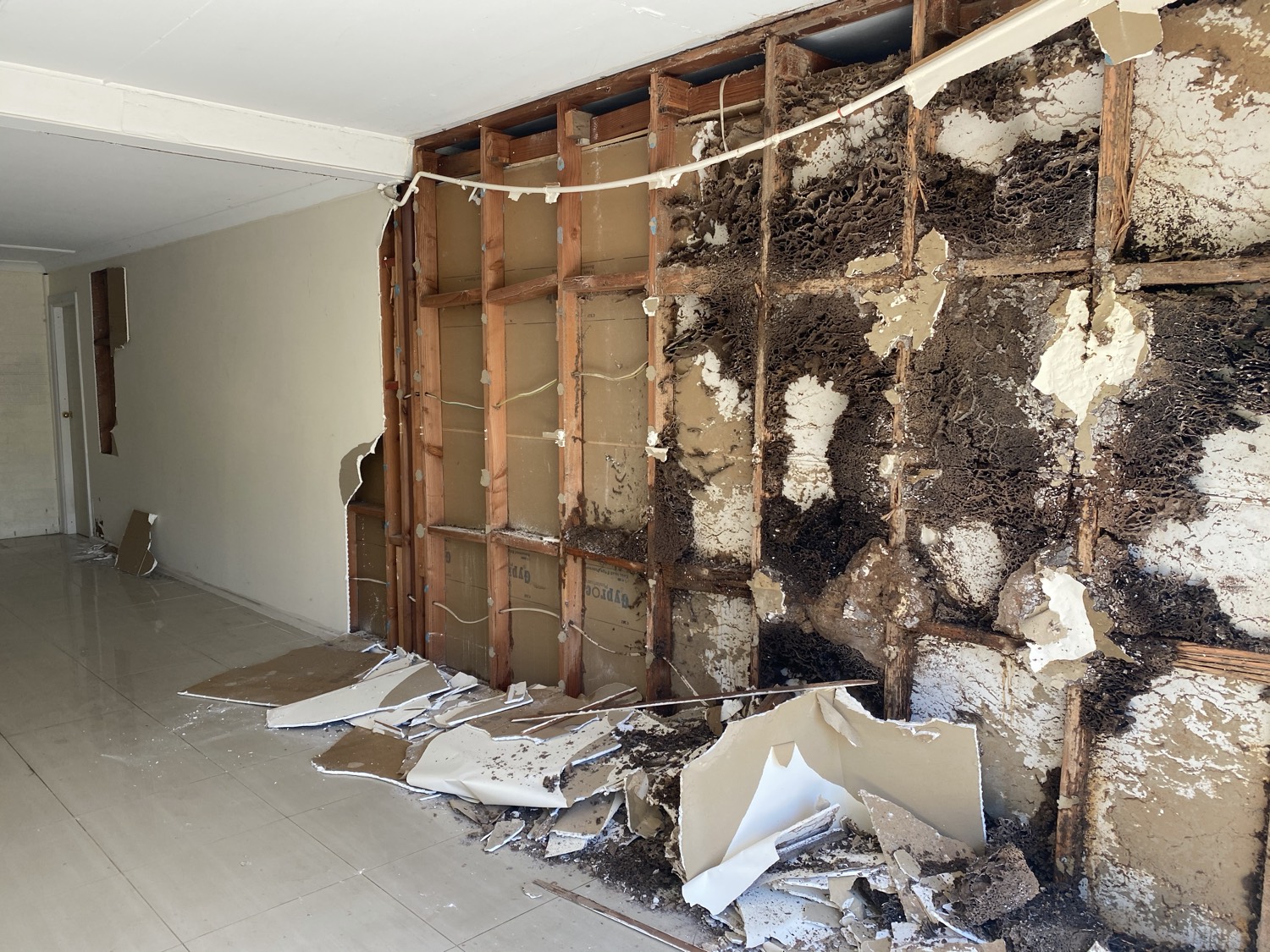 Pest control treatment in progress