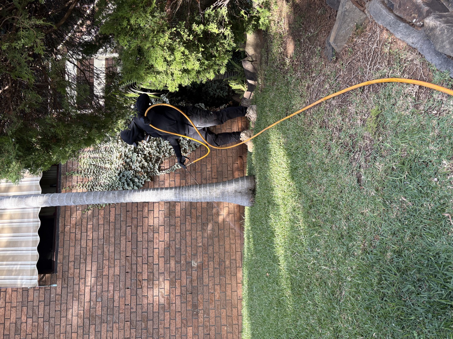 Pest control job in the Macarthur region