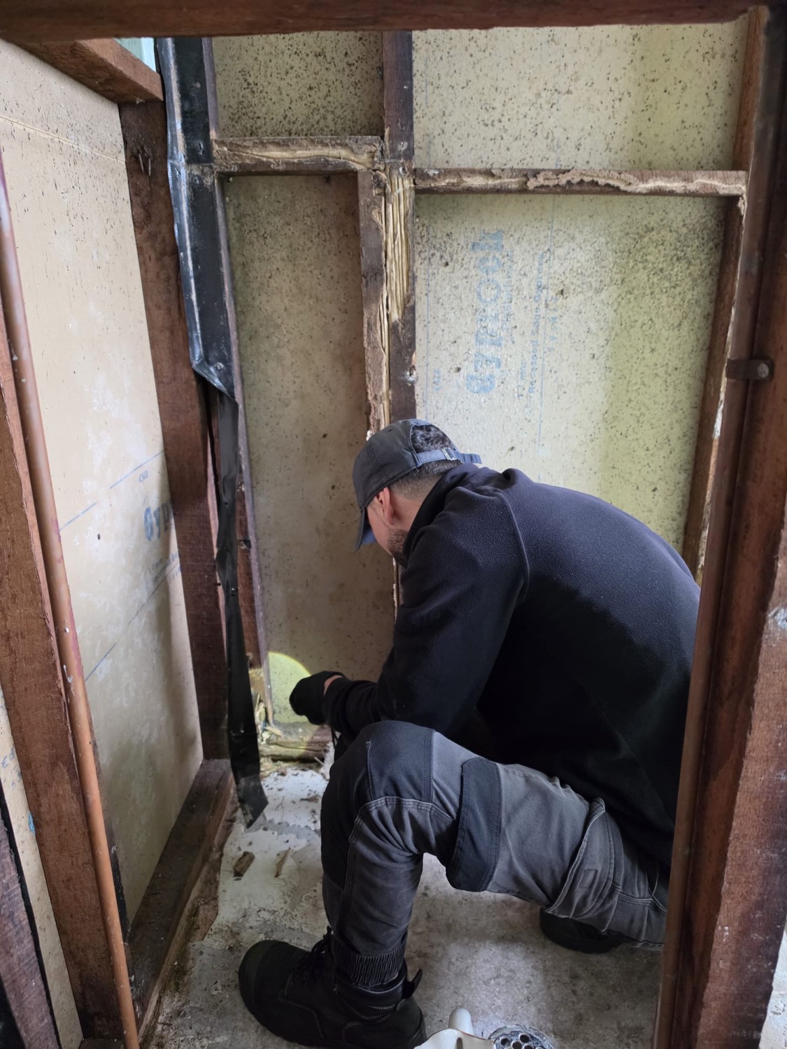 PESTFREE technician inspecting termite damage