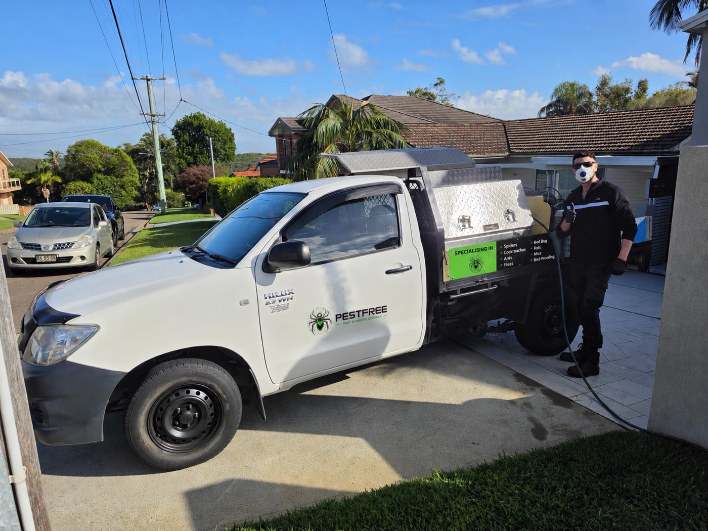 PESTFREE pest technician on site with the branded Hilux service ute across Campbelltown and Greater Sydney